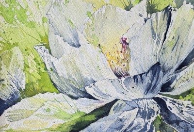 Aquarellbild einer Pfingstrose in expressiven Gelb- und Grüntönen